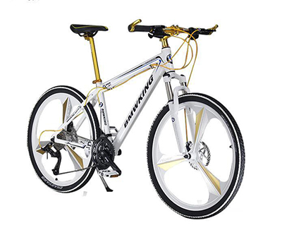 德圣龍水性金屬烤漆自行車應用效果圖 德圣龍水性金屬烤漆自行車應用效果圖